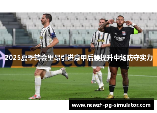 2025夏季转会里昂引进意甲后腰提升中场防守实力