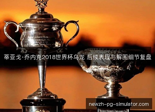 蒂亚戈·乔内克2018世界杯乌龙 后续表现与解围细节复盘